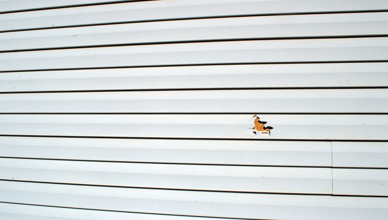 Inspecting Repaired Siding